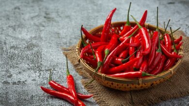 Wellhealthorganic.com:Red Chilli You Should Know About Red Chilli Uses Benefits Side Effects